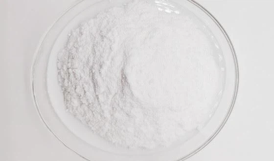 Citicoline powder