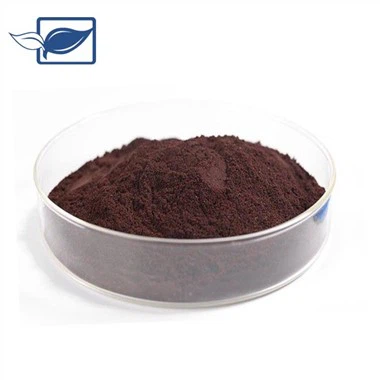 Procyjanidyny w proszku